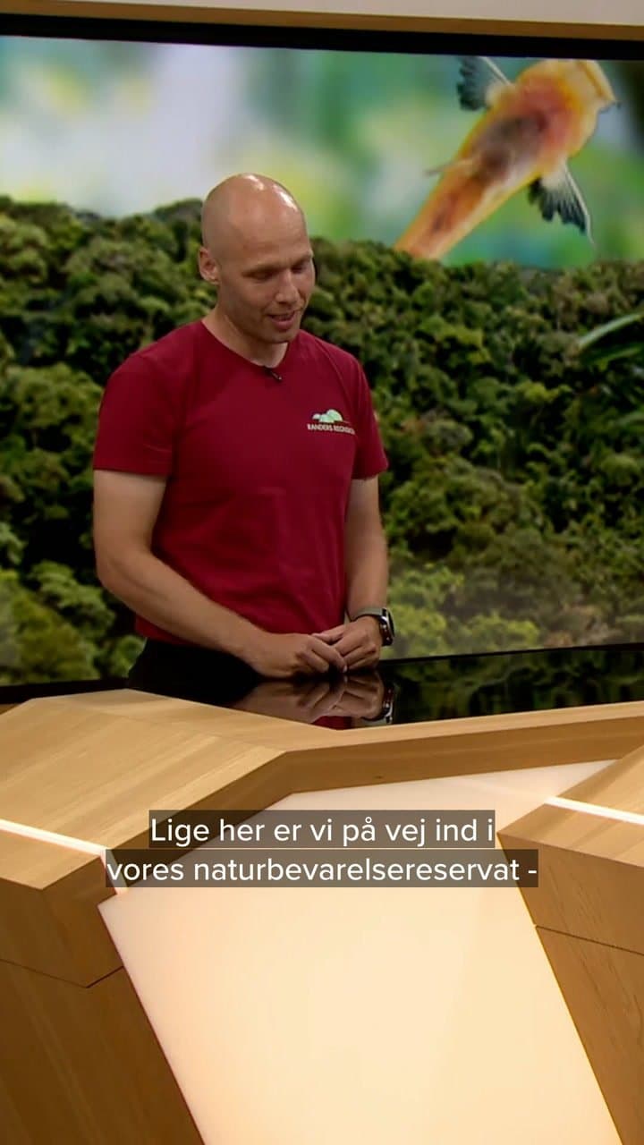 Gnags Stopper Karrieren: En Æra Går I Glemme