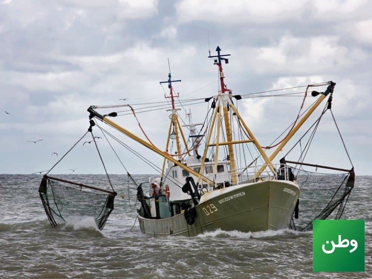 Denmark and Germany Ban Bottom Trawling in Flensburg Fjord from January 2027