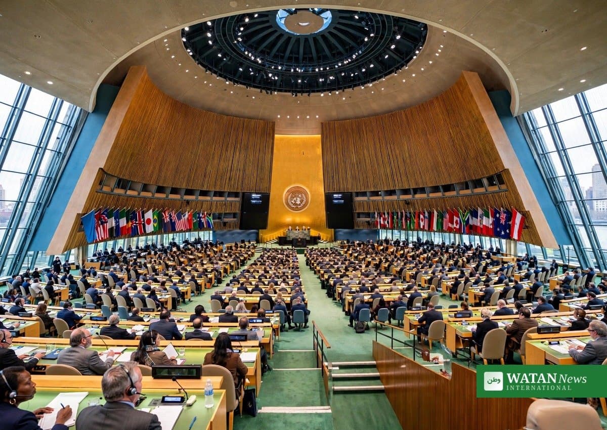 Climate Action