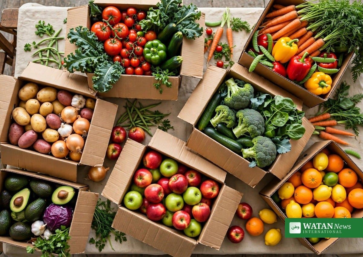 Free Weekly Groceries Cut Blood Pressure and Weight Over Years, Study Finds