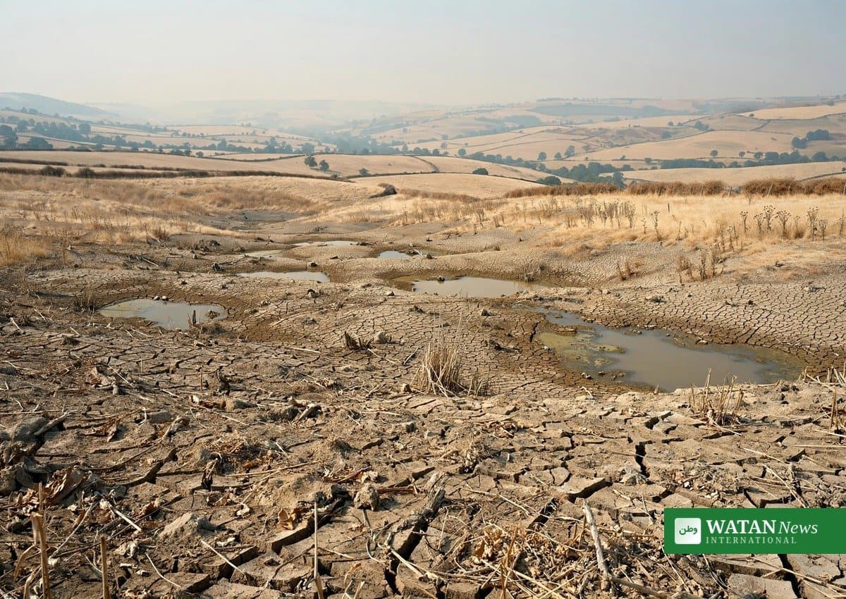 Klimabevidsthed på rekord: 85 % af briterne ramt af klimaændringer — ONS