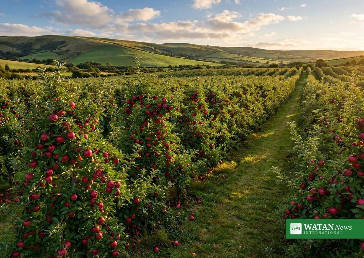 Worldwide Fruit Named Climate Champion of the Year at 2026 FPC Fresh Awards