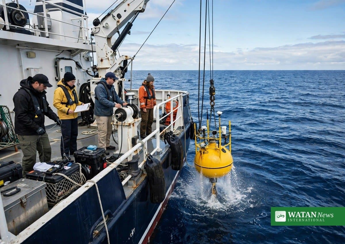 UN Report: Ocean Carbon Intelligence Needed as Climate Weakens Ocean Carbon Sink