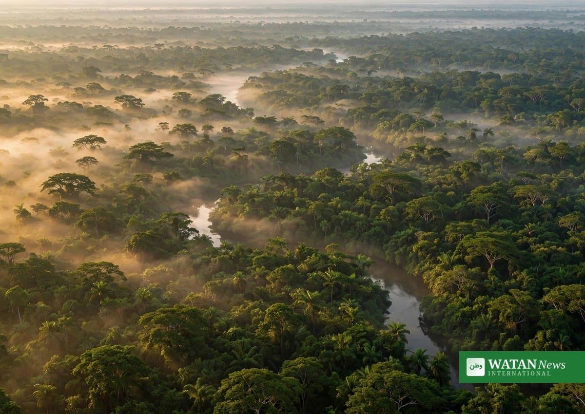 Olam Agri’s Congo Wood Business Wins Biodiversity Champion at Reuters Awards 2026