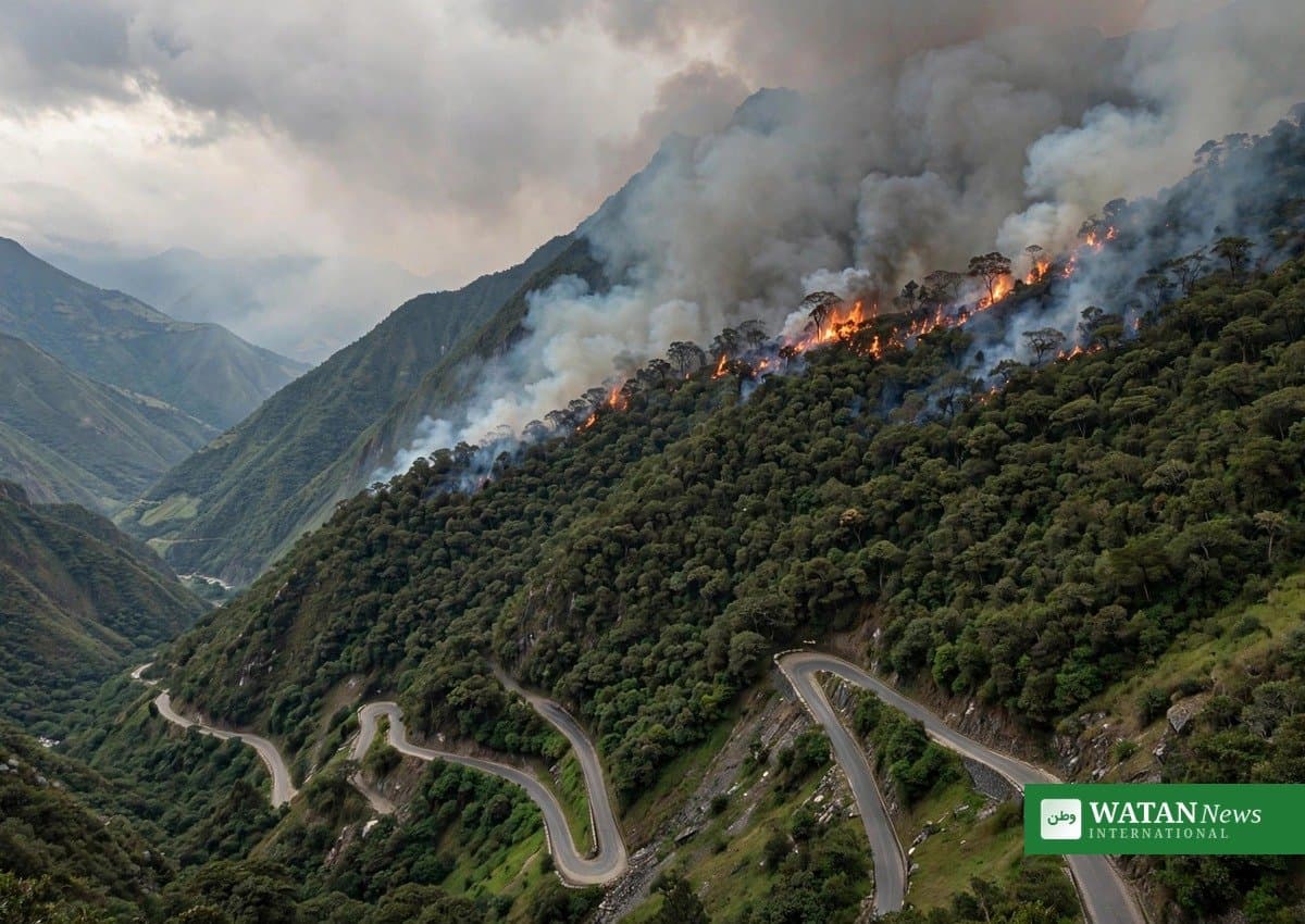 Peru: Fire on Machu Picchu Road Kills One, Injures Two