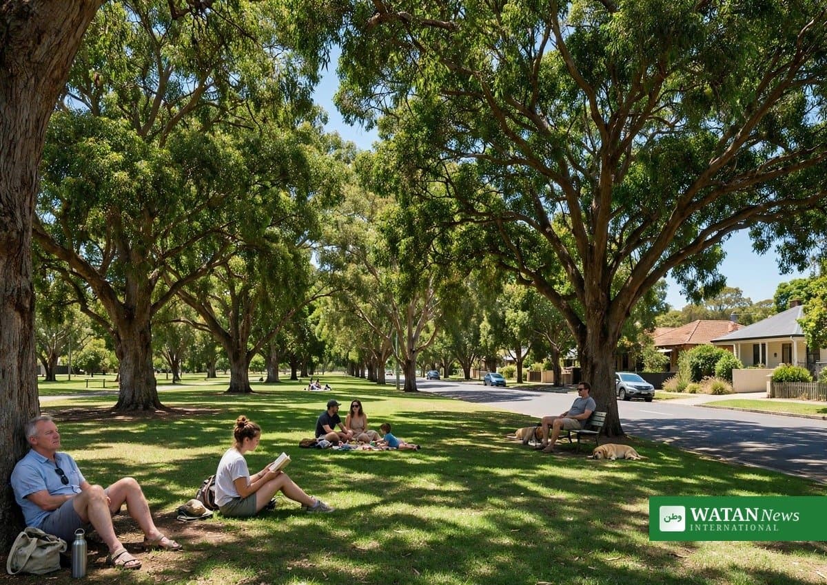 Otte Adelaide-råd godkender Resilient East klimahandlingsplan 2026–2031