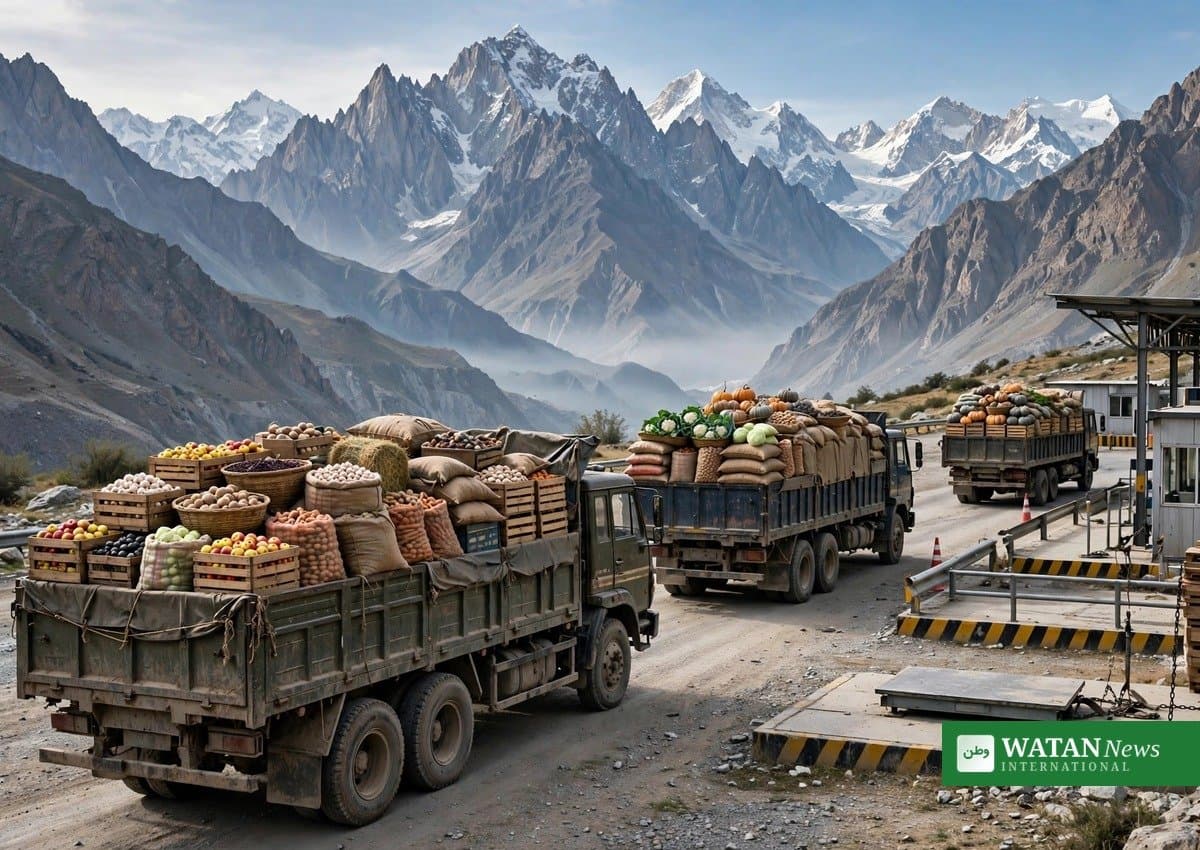 سست خنجراب سرحد پر زرعی تجارت کے لیے پاک چین گرین چینل کا آغاز