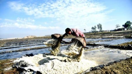 Fake Packaging of Substandard Salt Uncovered in Vehari