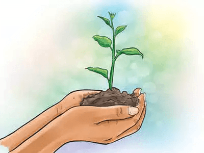 Horticulture Agency Rawalpindi Holds Tree Plantation Drive at Women’s College