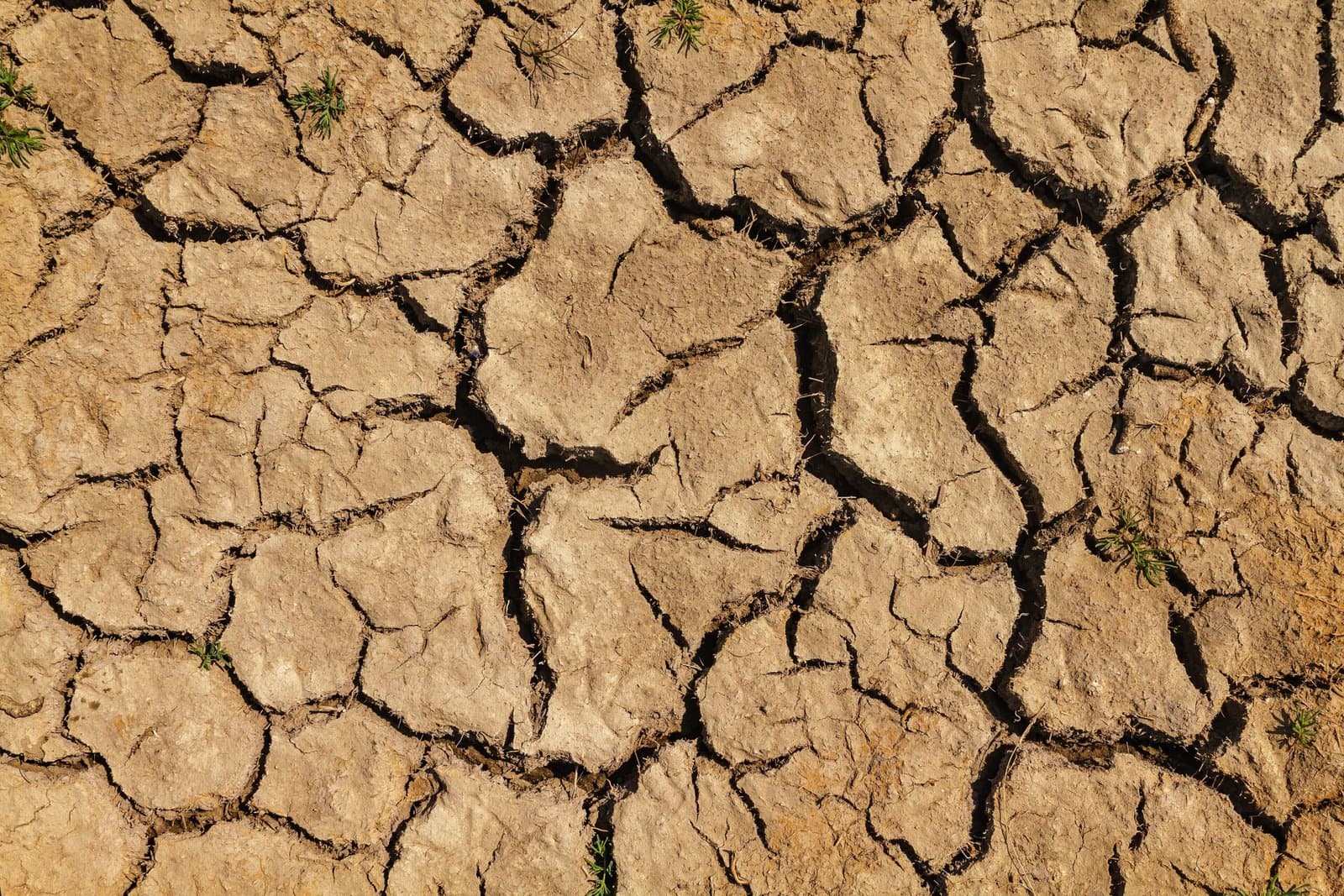 Climate Awareness