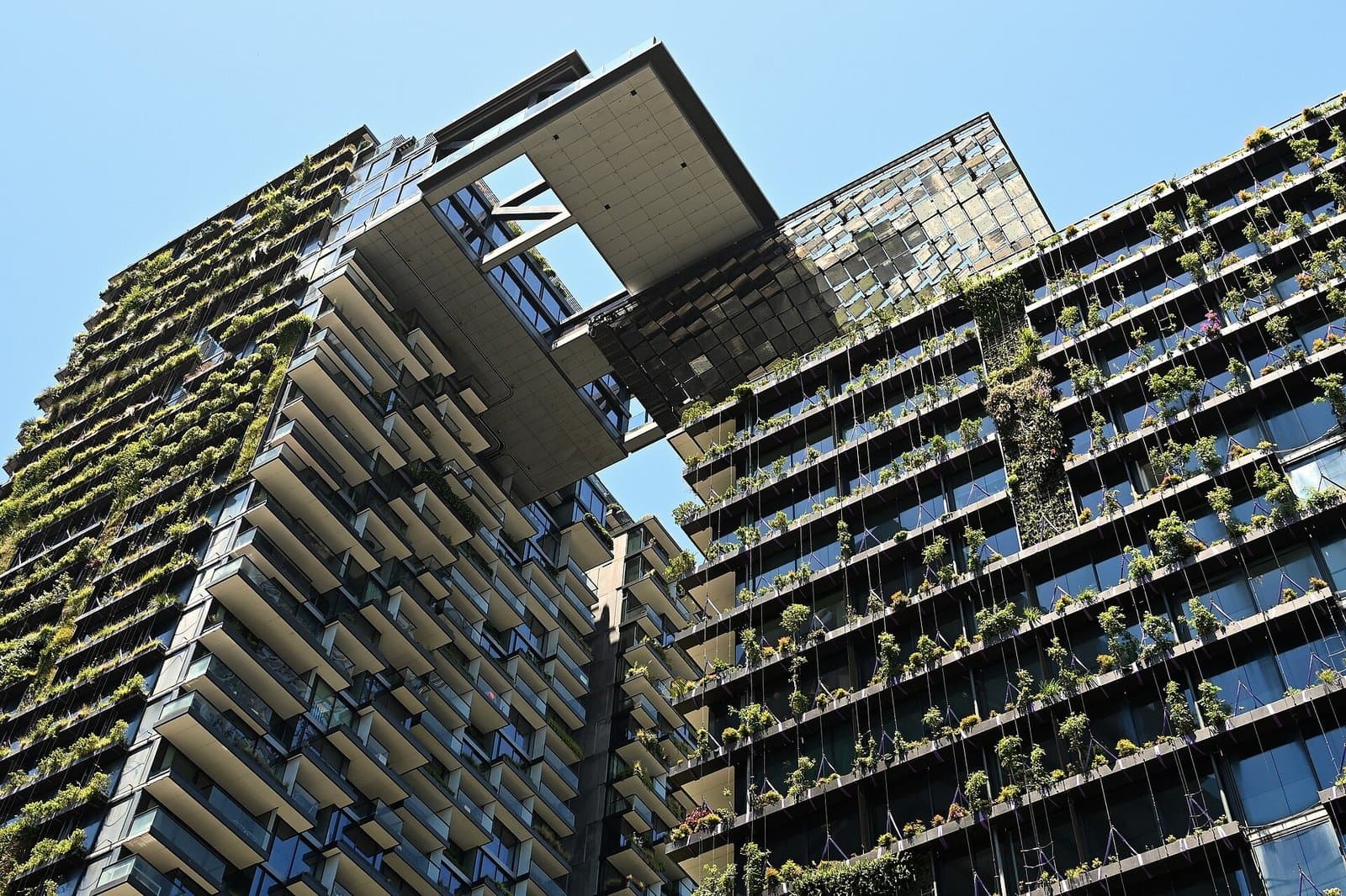 Sustainable Living