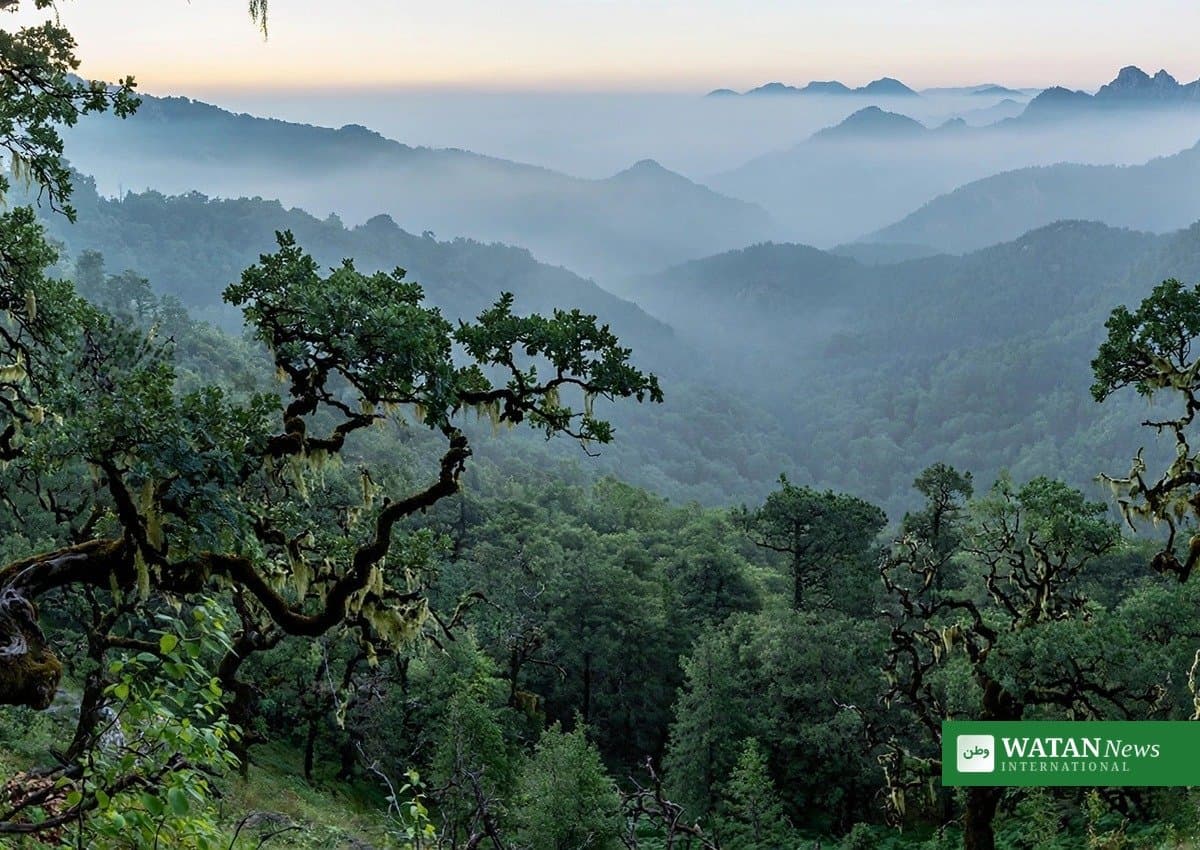 Turkey’s ecological spotlight: Hrant Dink Award meets hard realities for environmental reporters