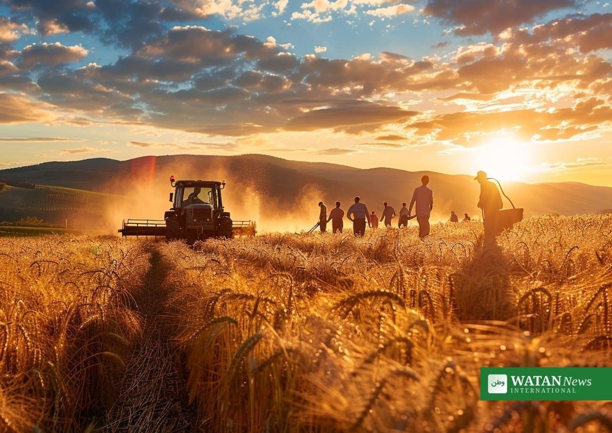Global food prices hit nearly four-year high in September, UN food agency says