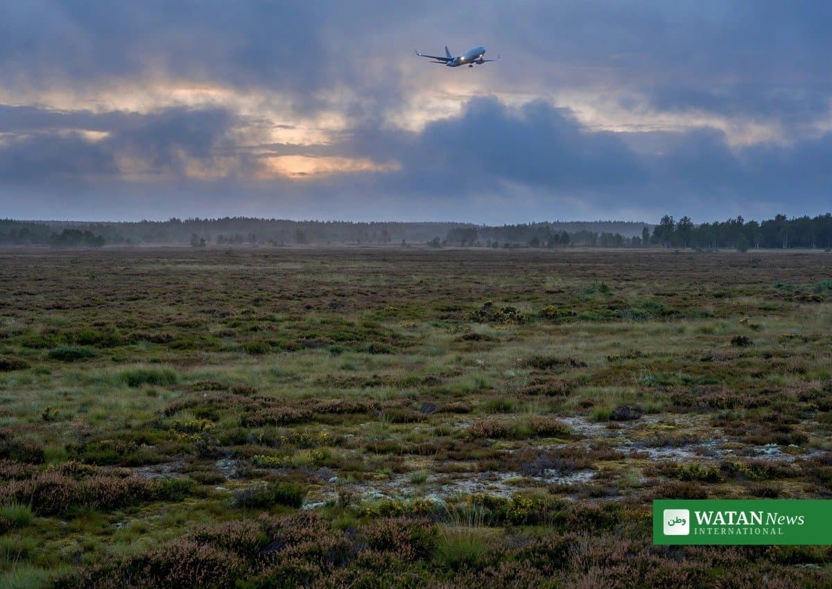 Forsvaret erkender fejl i tidslinje om skud ved passagerfly