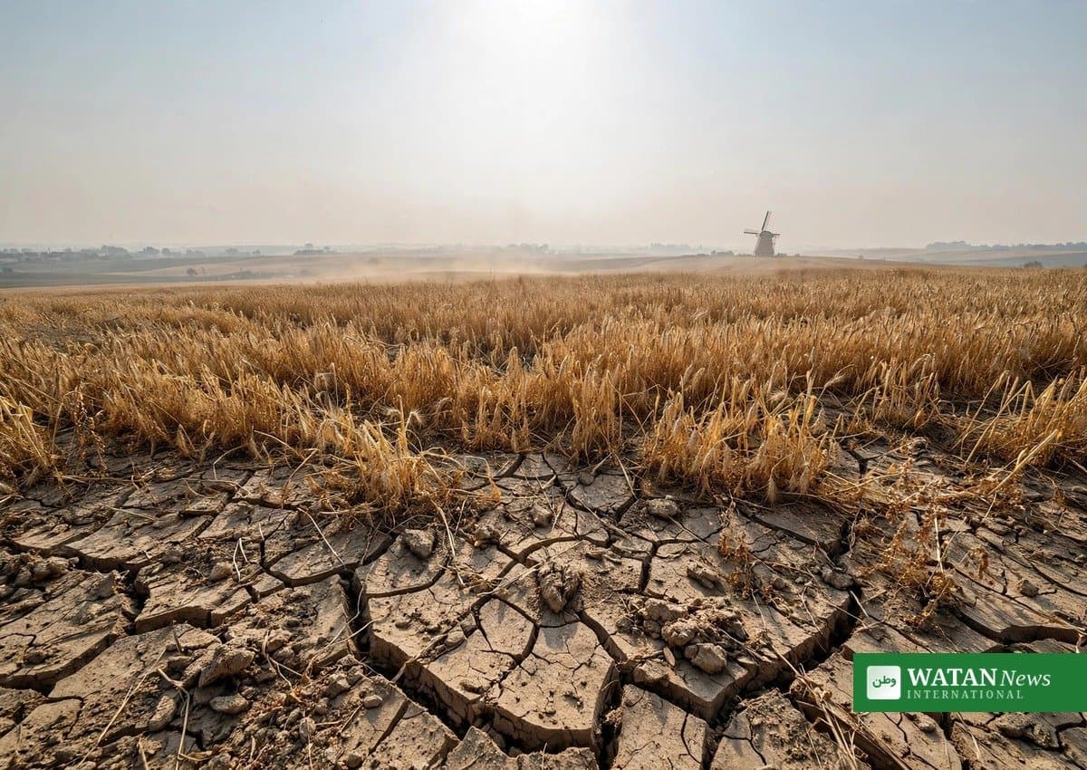 Europe Heatwaves, Deaths, Crop Failures Loom: Study Warns of Grim Future