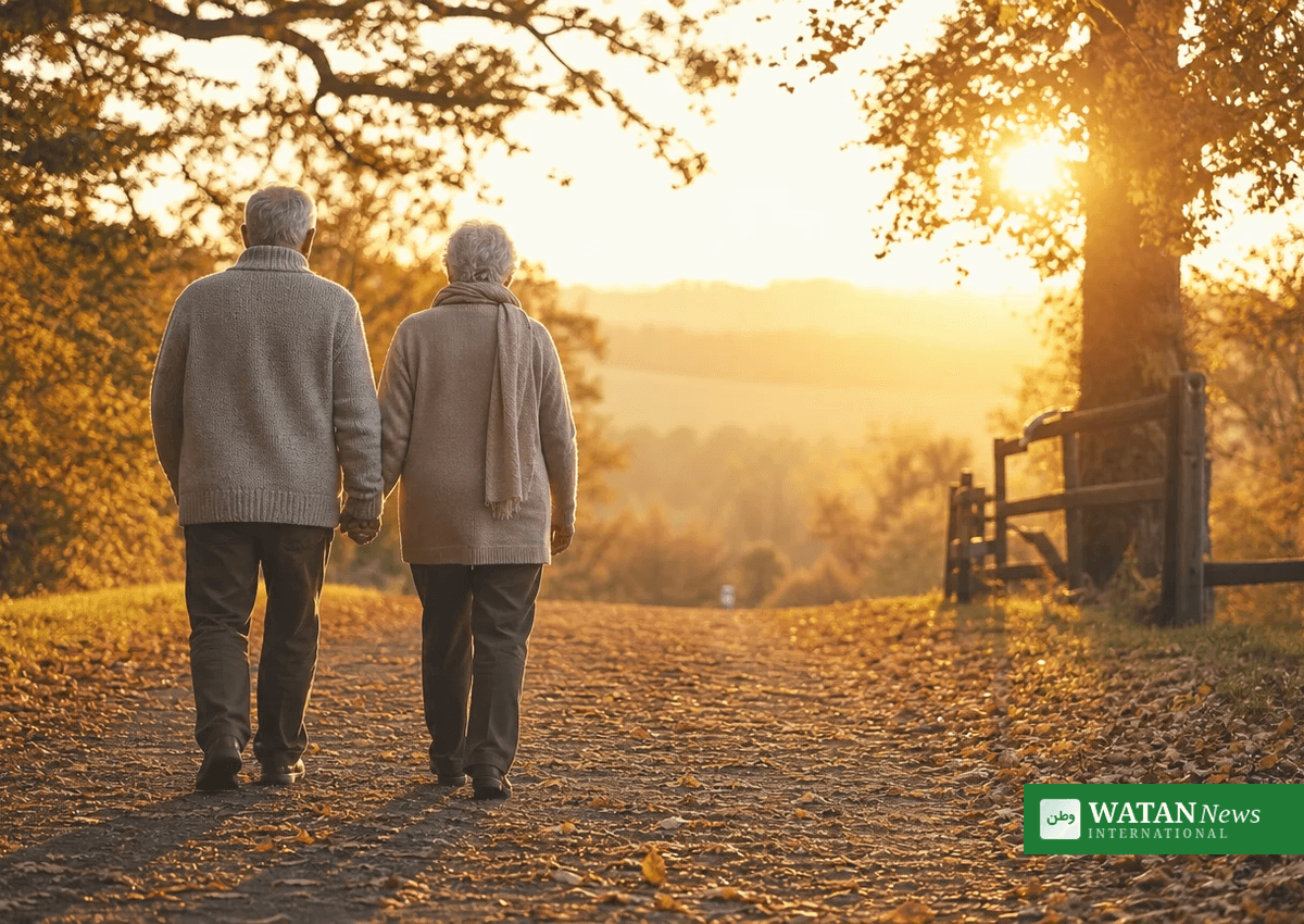 Social Security Payments to Rise 3.6% in 2027, Adding About $75 a Month for Retirees