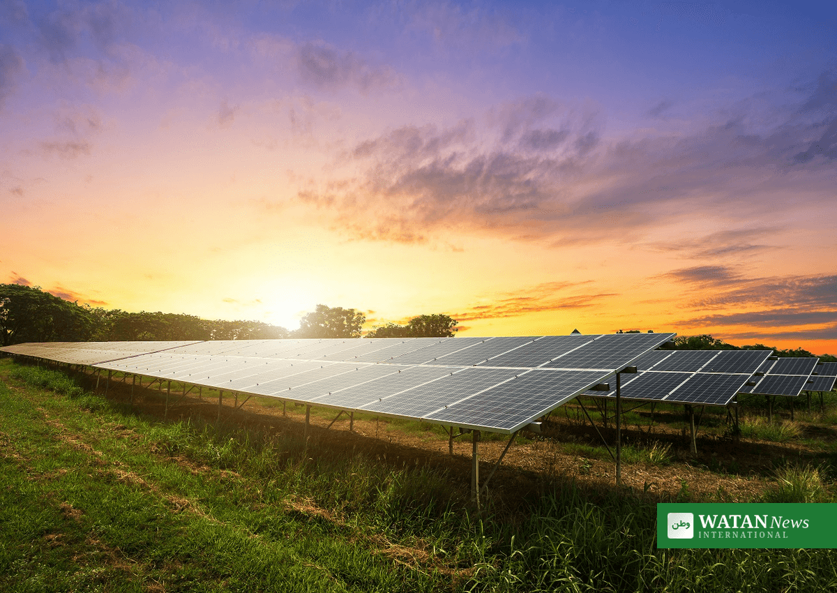 Solar Cell Efficiency Hits 28.38% as JA Claims Back-Contact World Record